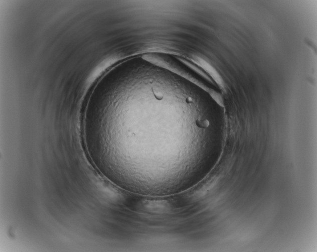 X0000099231043200804241449