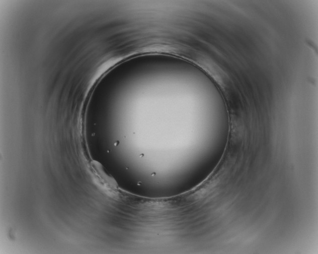 X0000099231044200804241449