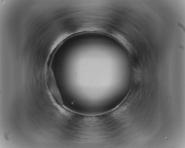 X0000099231046200804241449