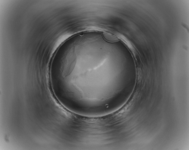 X0000099231048200804241449