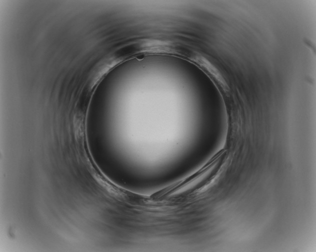 X0000099231049200804241449