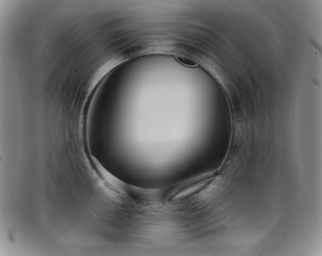 X0000099231050200804241449