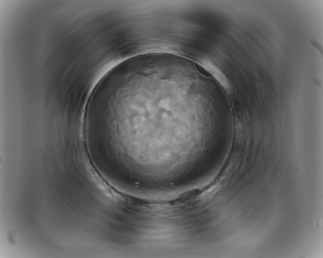 X0000099231052200804241449