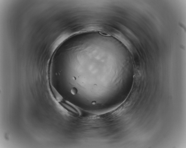 X0000099231055200804241449