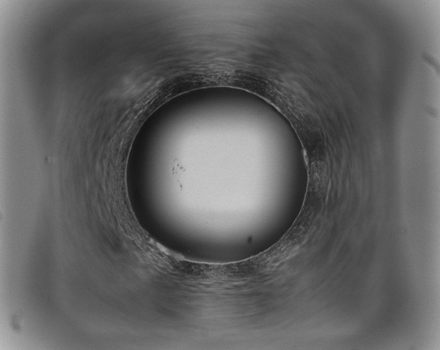 X0000099231057200804241448