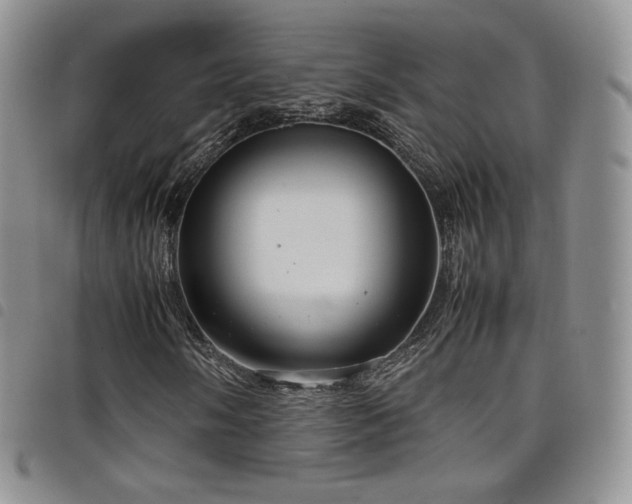 X0000099231058200804241448