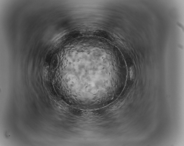 X0000099231059200804241448