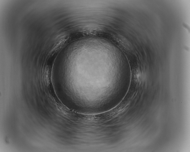 X0000099231060200804241448
