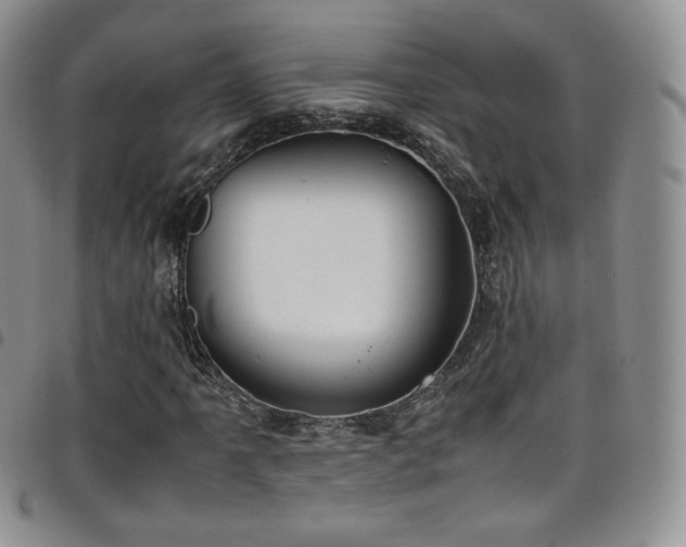 X0000099231061200804241448
