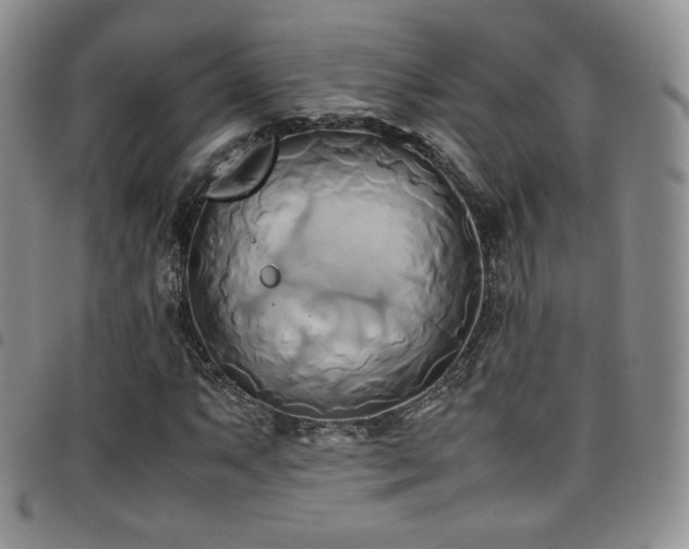 X0000099231063200804241448