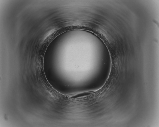 X0000099231064200804241448
