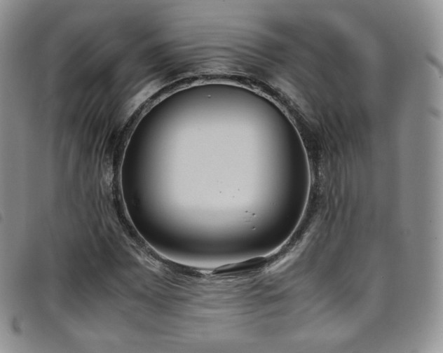 X0000099231065200804241448