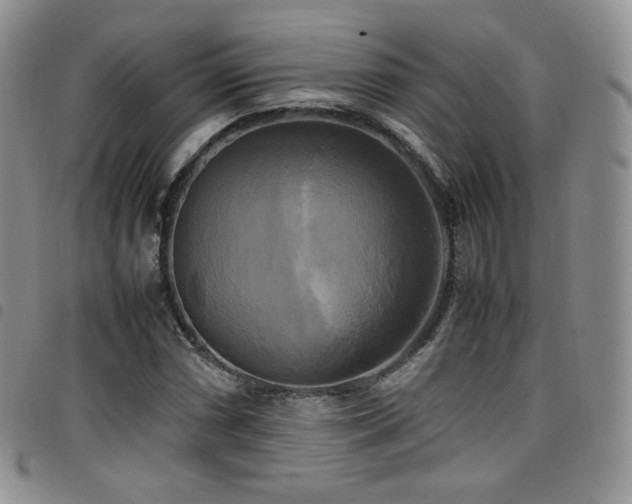 X0000099231066200804241448