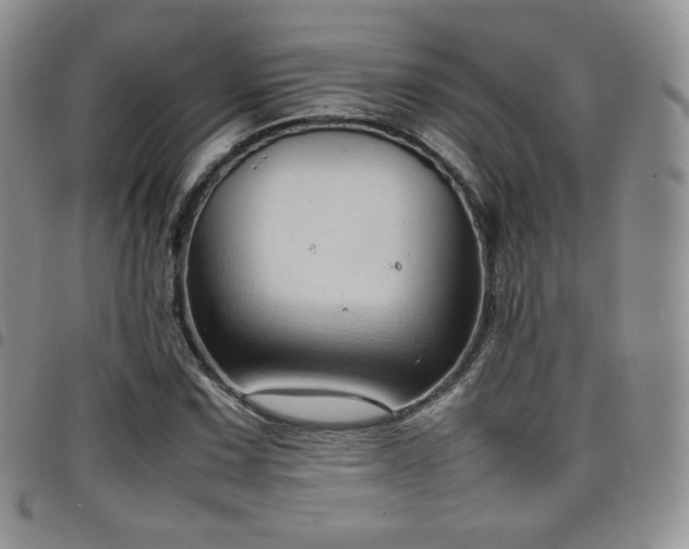 X0000099231067200804241448