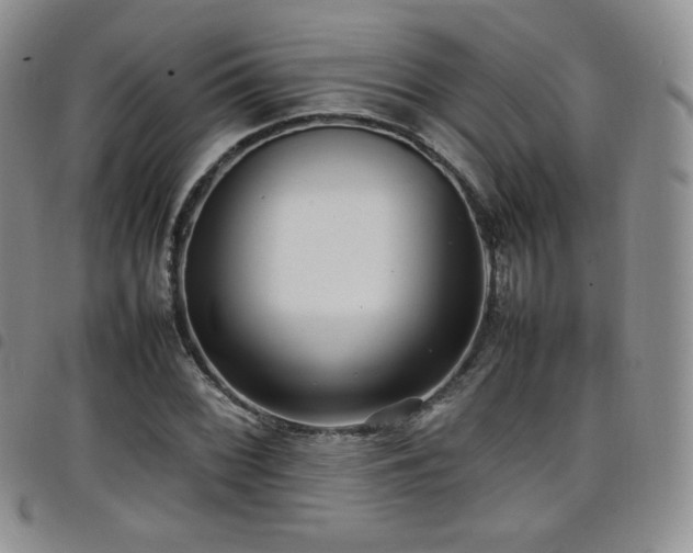 X0000099231068200804241448