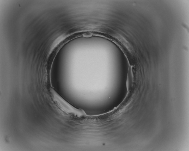 X0000099231069200804241448
