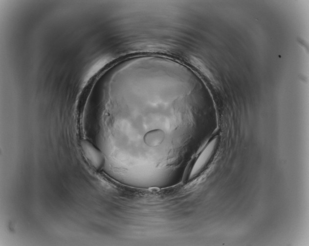 X0000099231071200804241448