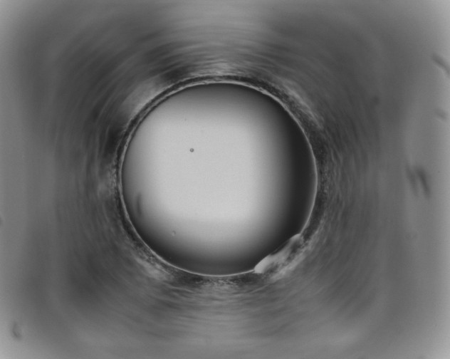 X0000099231073200804241448