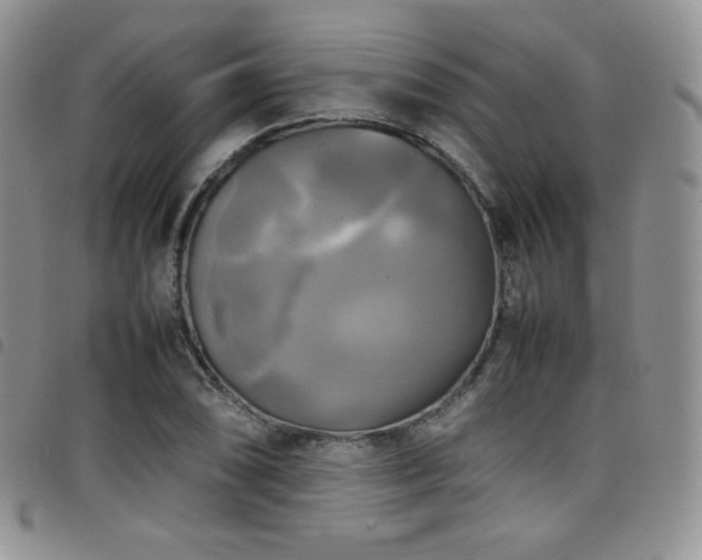 X0000099231074200804241448