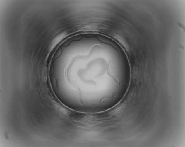 X0000099231075200804241448