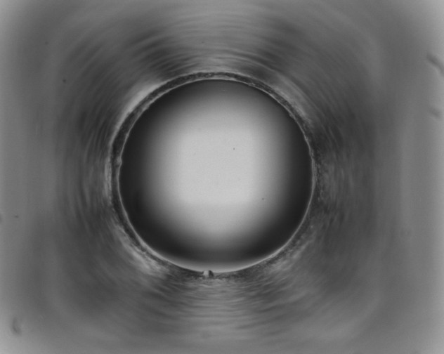 X0000099231076200804241448