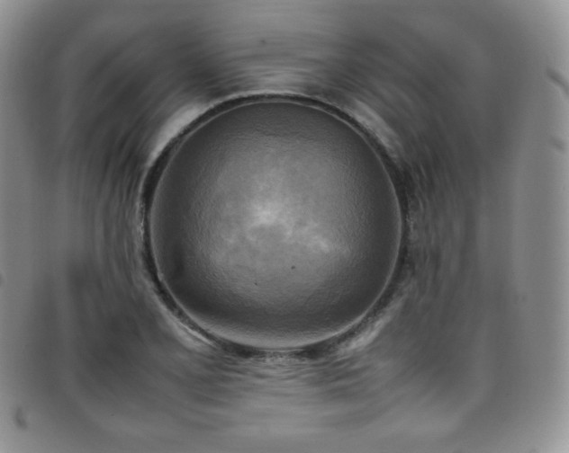X0000099231077200804241448