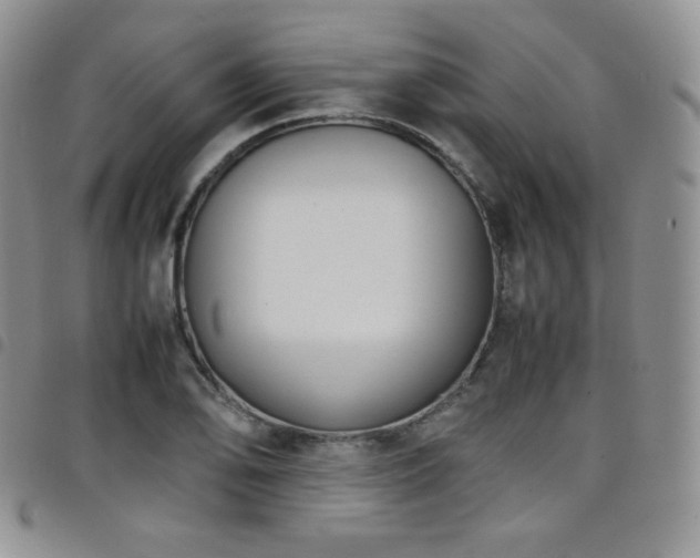 X0000099231078200804241448
