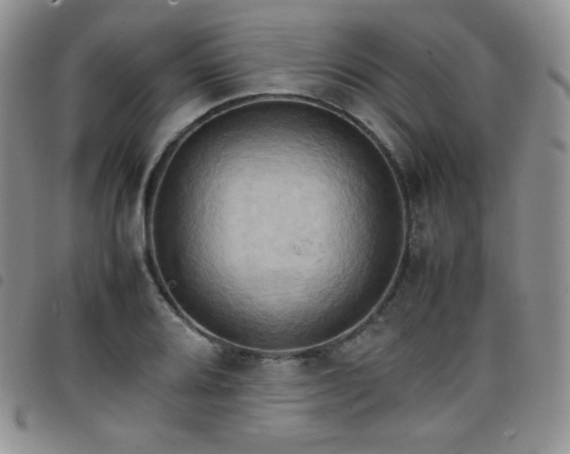 X0000099231080200804241448