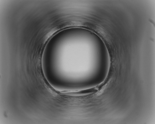 X0000099231081200804241448