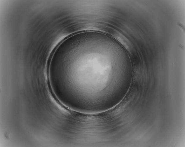 X0000099231084200804241448