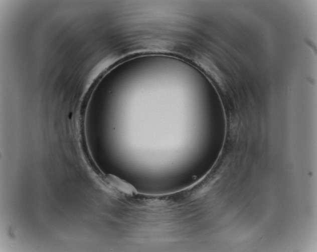 X0000099231085200804241448