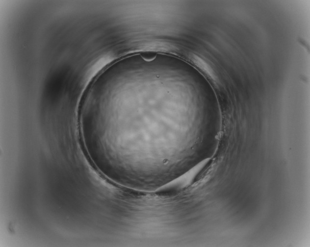 X0000099231087200804241448