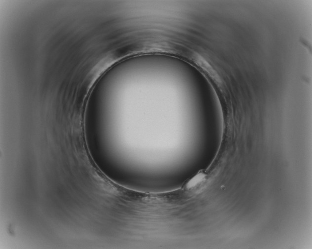 X0000099231089200804241448