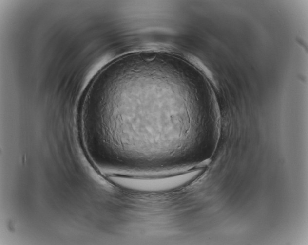 X0000099231091200804241448