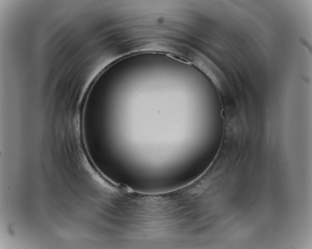 X0000099231092200804241448