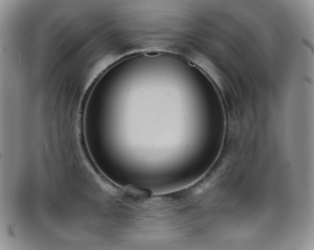 X0000099231093200804241448