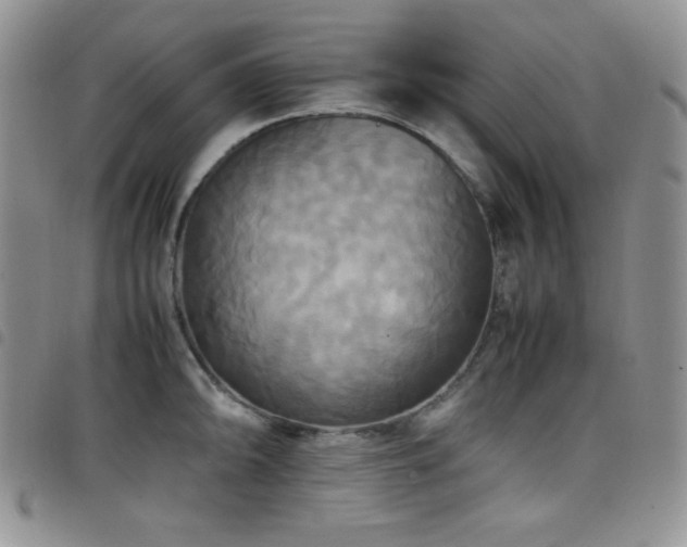 X0000099231094200804241448