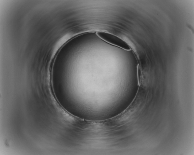 X0000099231096200804241448
