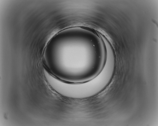 X0000099231097200804241448