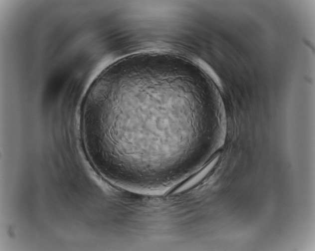 X0000099231099200804241448
