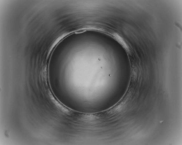 X0000099231100200804241448
