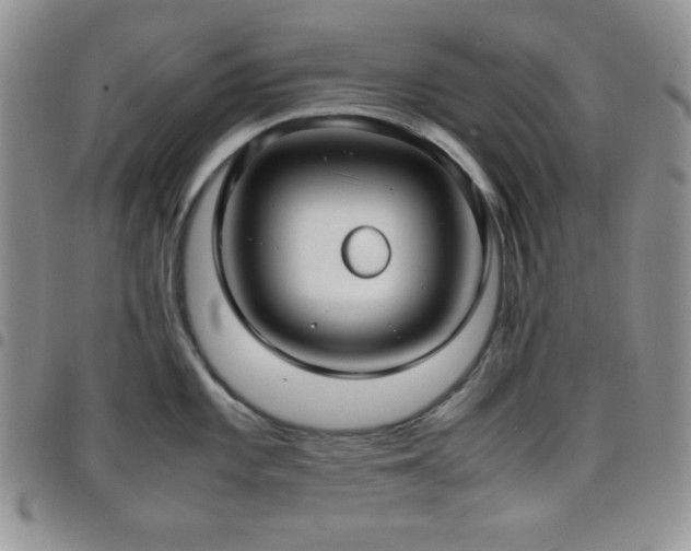 X0000099231101200804241448