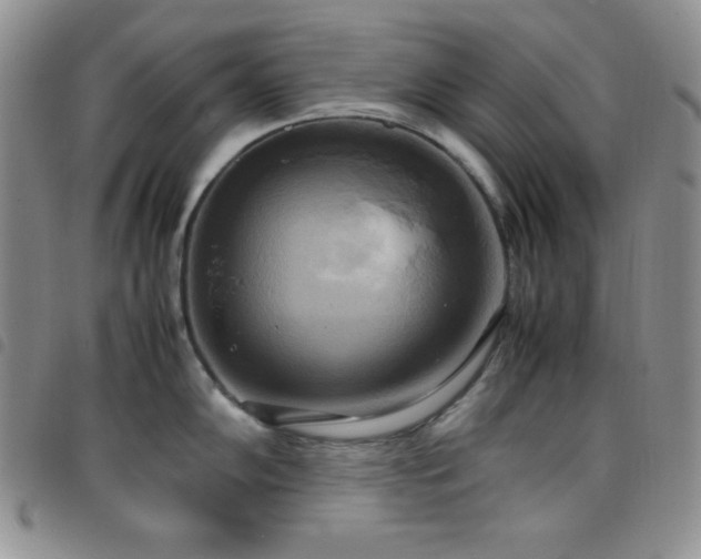 X0000099231102200804241448