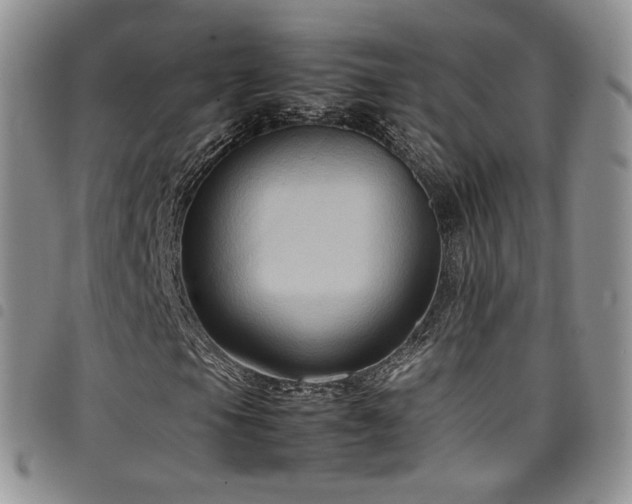 X0000099231105200804241447