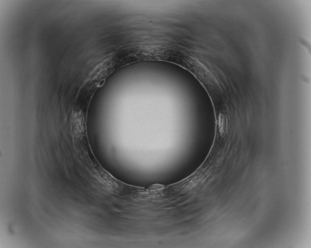 X0000099231107200804241447