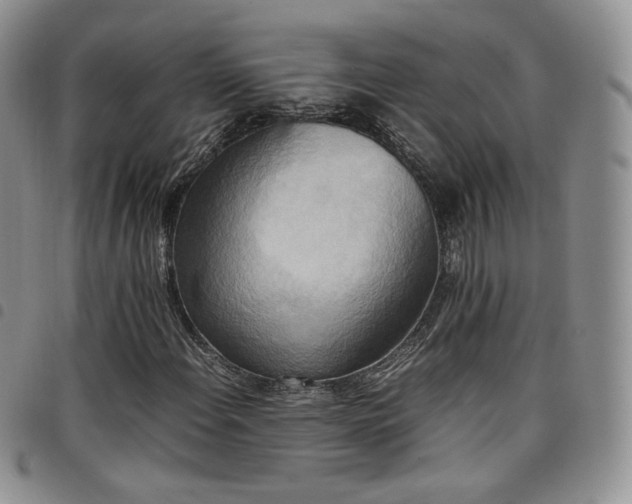X0000099231108200804241447