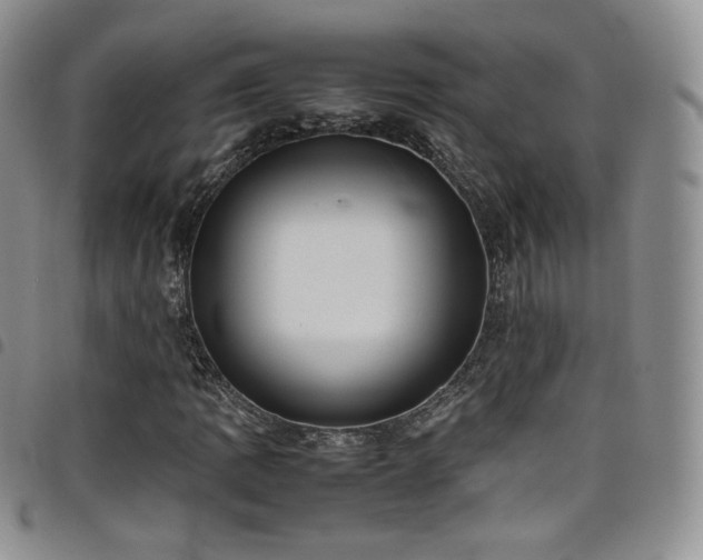 X0000099231109200804241447