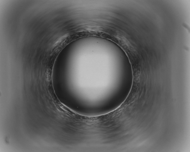 X0000099231110200804241447