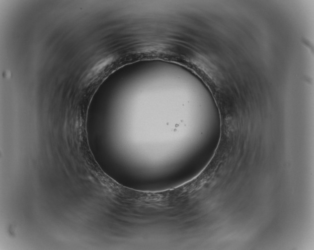 X0000099231111200804241447