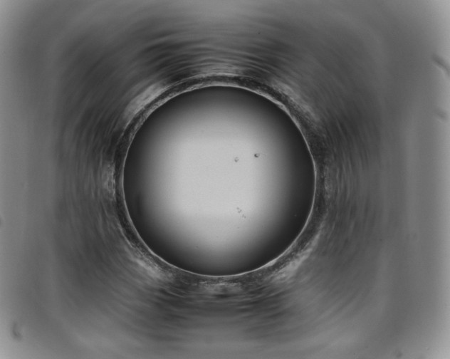 X0000099231113200804241447